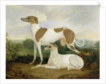 Two Greyhounds in a Landscape by Charles Hancock