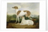 Two Greyhounds in a Landscape by Charles Hancock