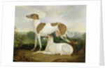 Two Greyhounds in a Landscape by Charles Hancock