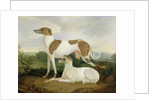 Two Greyhounds in a Landscape by Charles Hancock