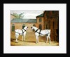 Mr. Sowerby's Grey Carriage Horses in his Coachyard at Putteridge Bury, Hertfordshire, 1836 by John Frederick Herring Snr