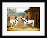 Mr. Sowerby's Grey Carriage Horses in his Coachyard at Putteridge Bury, Hertfordshire, 1836 by John Frederick Herring Snr