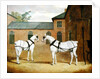 Mr. Sowerby's Grey Carriage Horses in his Coachyard at Putteridge Bury, Hertfordshire, 1836 by John Frederick Herring Snr