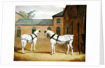 Mr. Sowerby's Grey Carriage Horses in his Coachyard at Putteridge Bury, Hertfordshire, 1836 by John Frederick Herring Snr