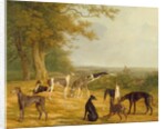 Nine Greyhounds in a Landscape by Jacques-Laurent Agasse