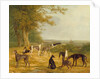 Nine Greyhounds in a Landscape by Jacques-Laurent Agasse