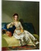 Nancy Parsons in Turkish Dress, c.1771 by George Willison