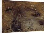 Rushes by a Pool, c.1821 by John Constable