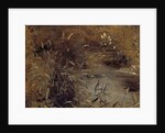 Rushes by a Pool, c.1821 by John Constable