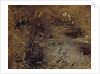 Rushes by a Pool, c.1821 by John Constable