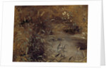Rushes by a Pool, c.1821 by John Constable
