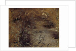Rushes by a Pool, c.1821 by John Constable
