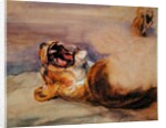 Study of a Lioness by John Frederick Lewis