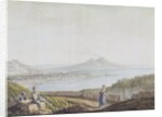 Naples from Posillipo by Jacob More