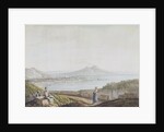 Naples from Posillipo by Jacob More