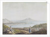 Naples from Posillipo by Jacob More