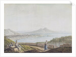 Naples from Posillipo by Jacob More