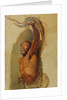 Man Struggling with a Boa Constrictor, Study for 'Liboya Serpent Seizing its Prey', c.1803 by James Ward