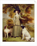 The Countess of Effingham with Gun and Shooting Dogs, 1787 by George Haugh