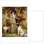 The Countess of Effingham with Gun and Shooting Dogs, 1787 by George Haugh