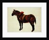 Study of a Working Horse by Thomas Sidney Cooper