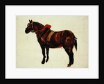 Study of a Working Horse by Thomas Sidney Cooper