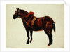 Study of a Working Horse by Thomas Sidney Cooper