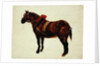 Study of a Working Horse by Thomas Sidney Cooper