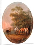 Mares and Foals, c.1770-80 by Sawrey Gilpin