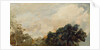 Cloud Study with Trees, 1821 by John Constable