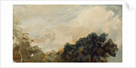 Cloud Study with Trees, 1821 by John Constable