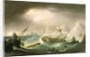 Shipwreck off a Rocky Coast by Thomas Buttersworth