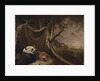 The Dead Soldier, c.1789 by Joseph Wright of Derby