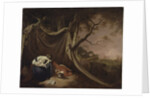 The Dead Soldier, c.1789 by Joseph Wright of Derby