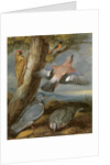 Jay, Green Woodpecker, Pigeons and Redstart, c.1650 by Francis Barlow