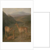 Vicunas, 1831 by Jacques-Laurent Agasse