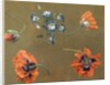 Poppies and Tradascanthus by Swiss School