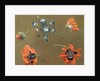 Poppies and Tradascanthus by Swiss School