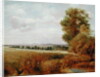 Landscape at Hampstead with Harrow in the Distance, c.1849-55 by Lionel Constable