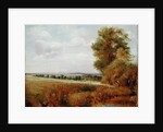 Landscape at Hampstead with Harrow in the Distance, c.1849-55 by Lionel Constable