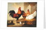 Domestic Cock, Hens and Chicks, 1655 by Francis Barlow