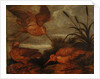 Woodcock at Dusk, c.1676 by Francis Barlow