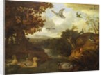 Ducks and other birds about a stream in an Italianate landscape, 1671 by Francis Barlow