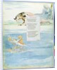 Design 10 for 'Ode on the Death of a Favourite Cat' by William Blake
