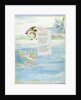 Design 10 for 'Ode on the Death of a Favourite Cat' by William Blake