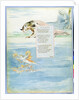 Design 10 for 'Ode on the Death of a Favourite Cat' by William Blake