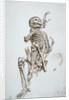 A Human Skeleton by James Ward