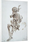 A Human Skeleton by James Ward