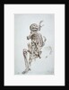 A Human Skeleton by James Ward