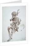 A Human Skeleton by James Ward